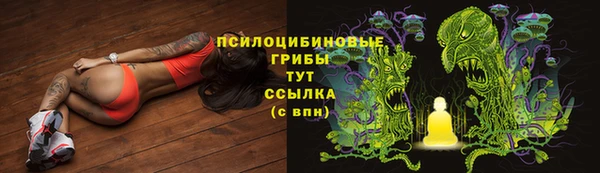 герыч Богородицк