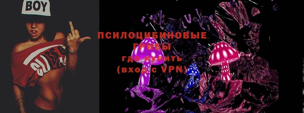 дурь Богданович