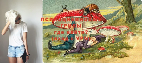 дурь Богданович