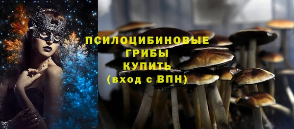 дурь Богданович