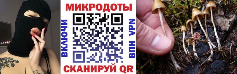Галлюциногенные грибы GOLDEN TEACHER  Морозовск 